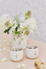 Gulab Kulhars (White)