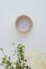 Gulab Kulhars (White)